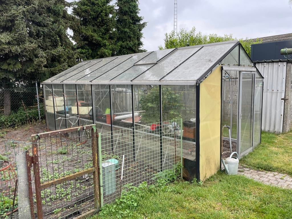 Glazen Serre 6x3m, Ophalen, Gebruikt, Kweekkas, Glas