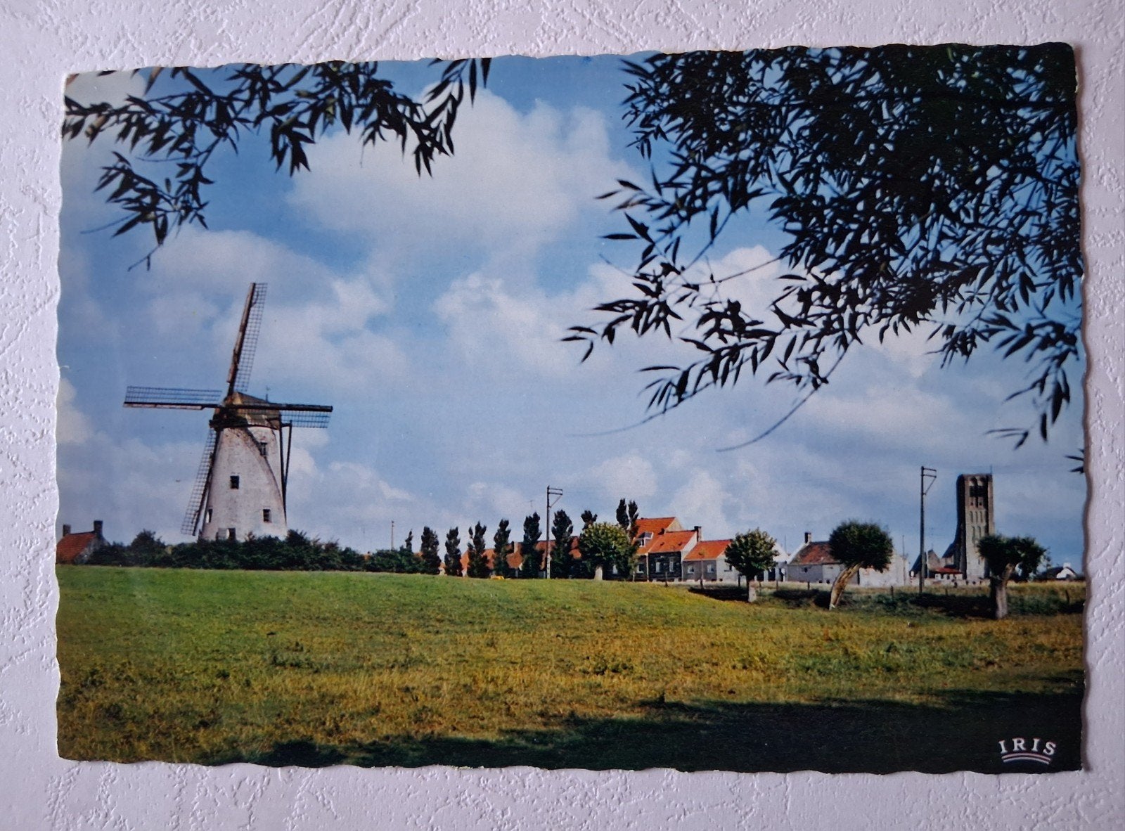 postkaart Zicht op Damme en de Molen, Ophalen of Verzenden