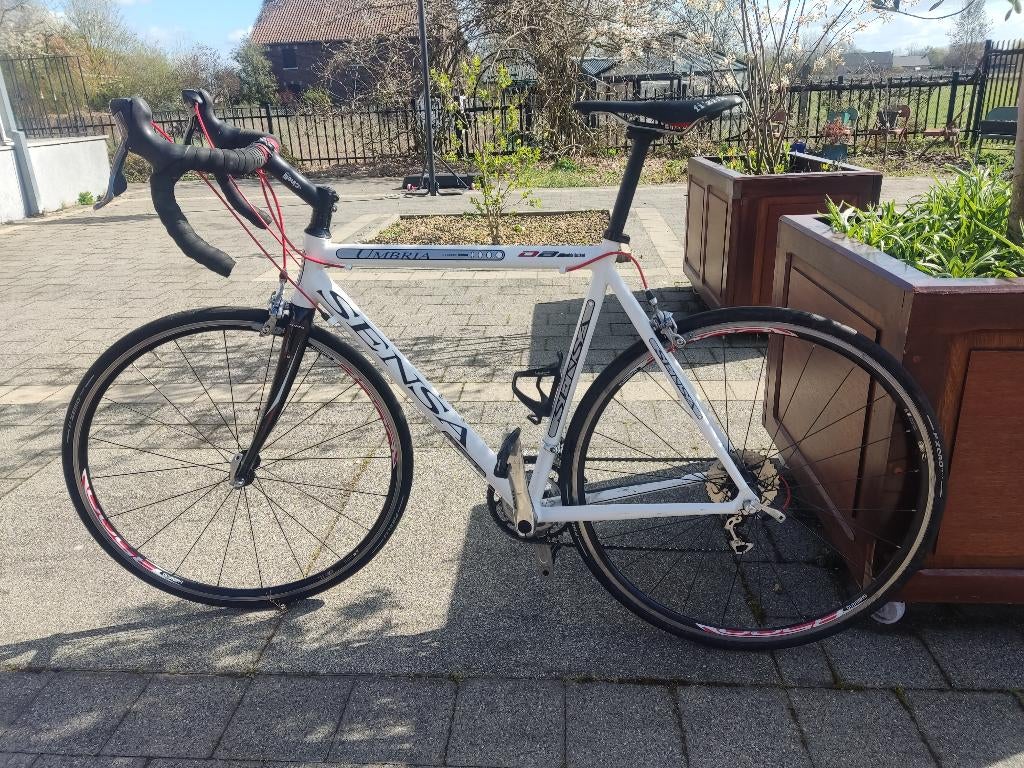 SENSA UMBRIA racefiets, 28 inch, Gebruikt, 15 tot 20 versnellingen, Ophalen