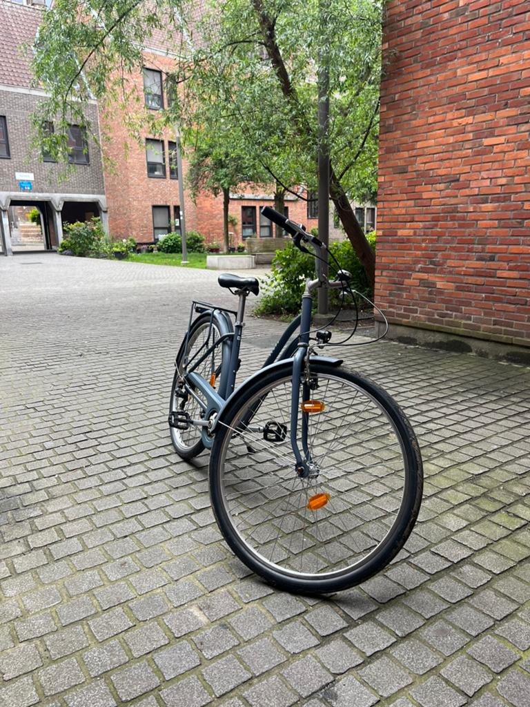 Fiets, Fietsen en Brommers, Fietsen | Heren | Herenfietsen, Ophalen
