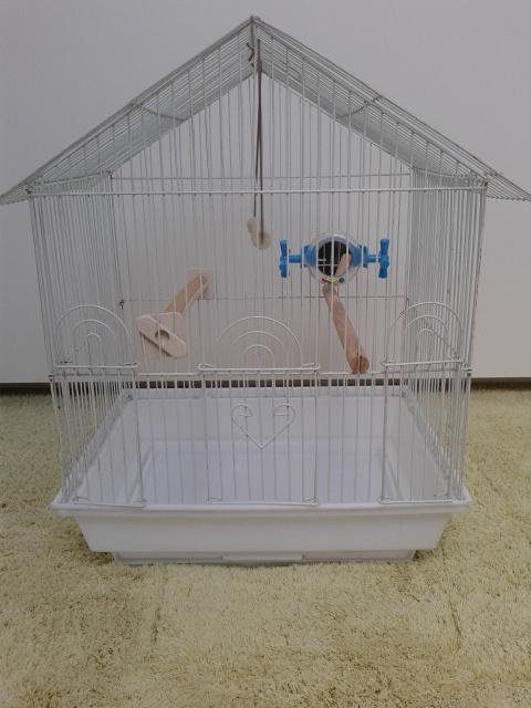 Cage oiseau. Région Charleroi. Tél 0494118335, Animaux & Accessoires, Oiseaux | Cages & Volières, Enlèvement, Neuf, Cage à oiseaux