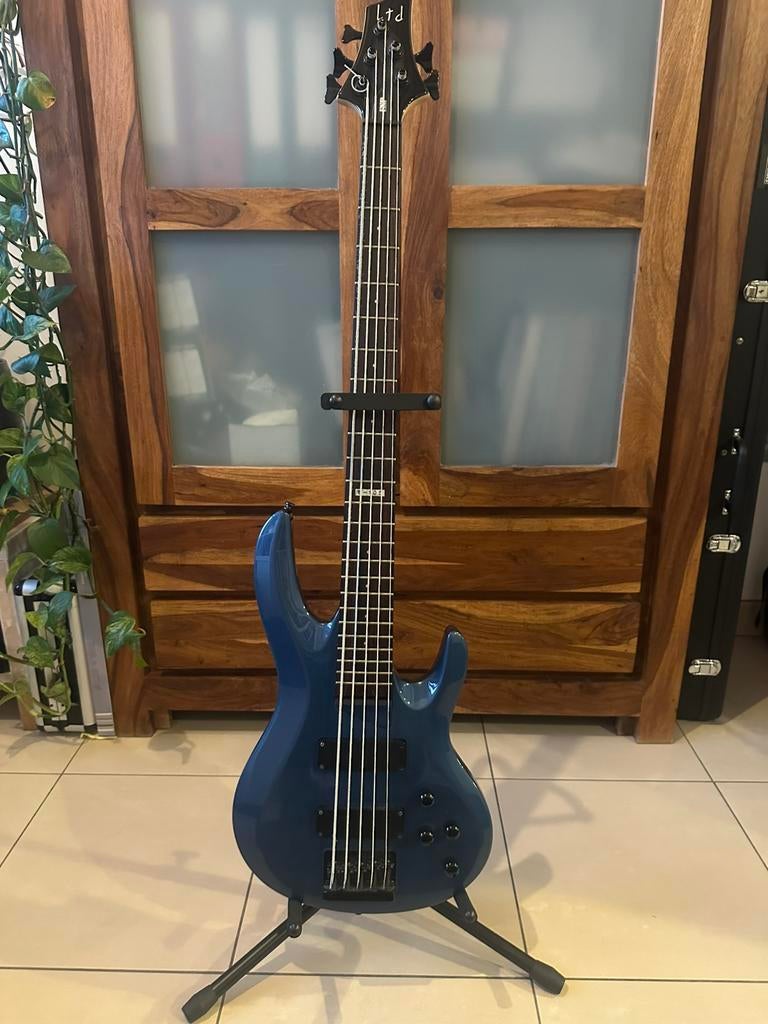 ESP Ltd 5string bas., Muziek en Instrumenten, Snaarinstrumenten | Gitaren | Bas, Ophalen, Zo goed als nieuw