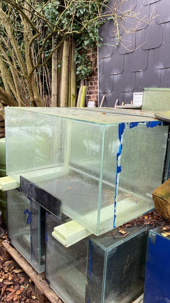 Aquariums d’élevage, Aquarium vide, Enlèvement, Utilisé, Couvercle inclus