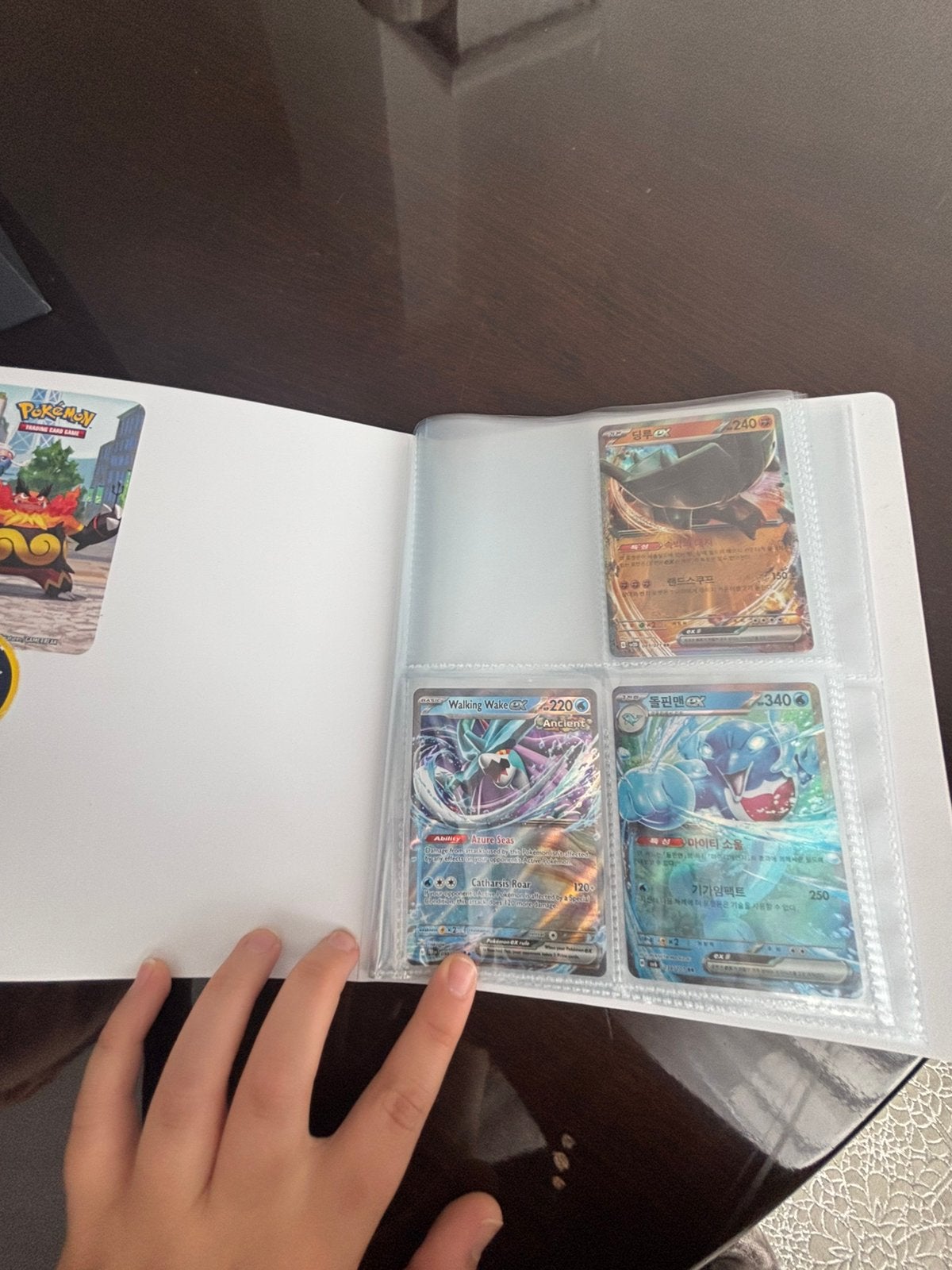 Le dossier de collection Pokemon peut contenir 40 cartes, Livres, Livres d'images & Albums d'images, Enlèvement, Comme neuf
