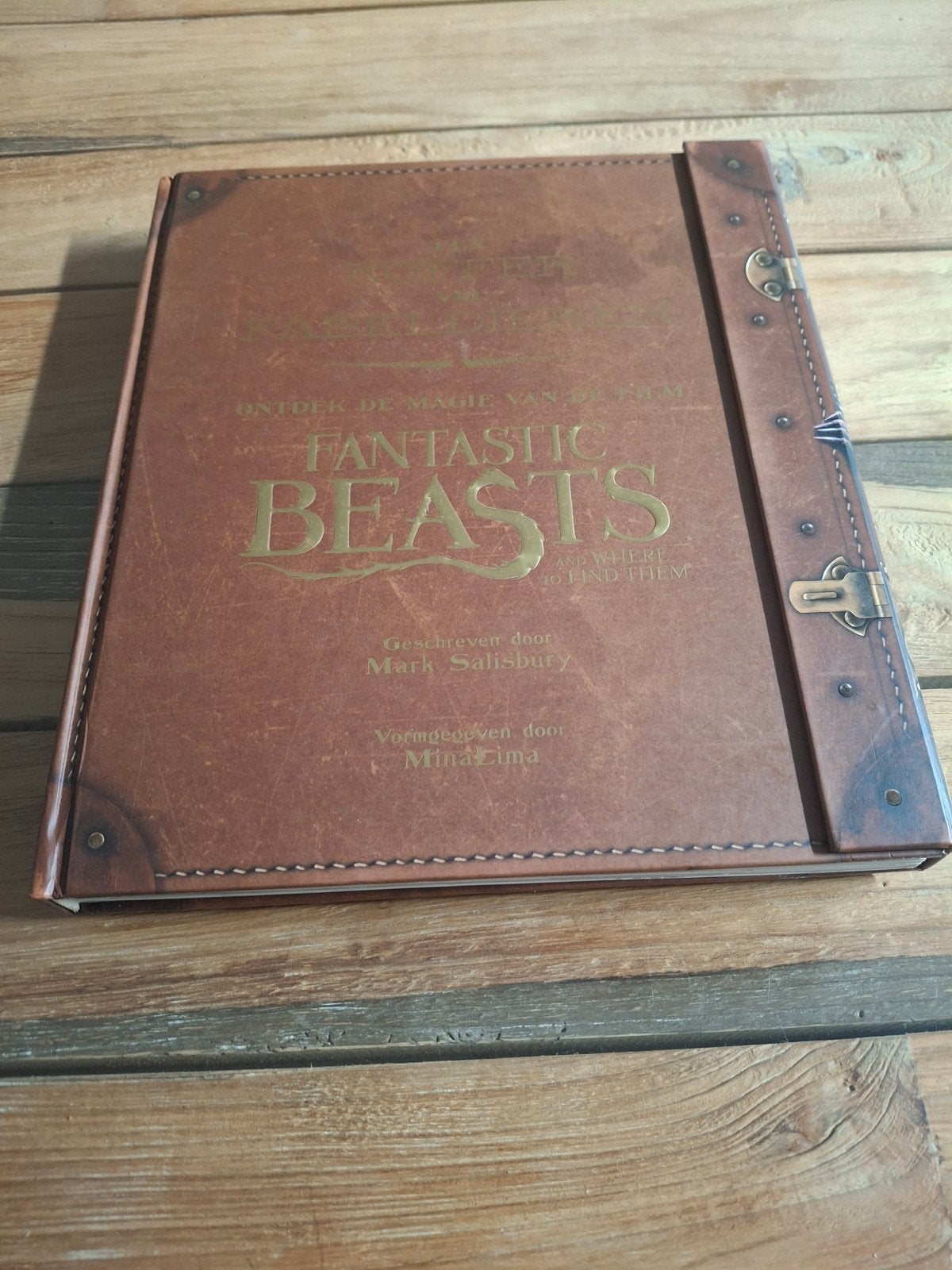 Een koffer vol fabeldierenontdek de magie  Fantastic Beasts, Collections, Harry Potter, Enlèvement