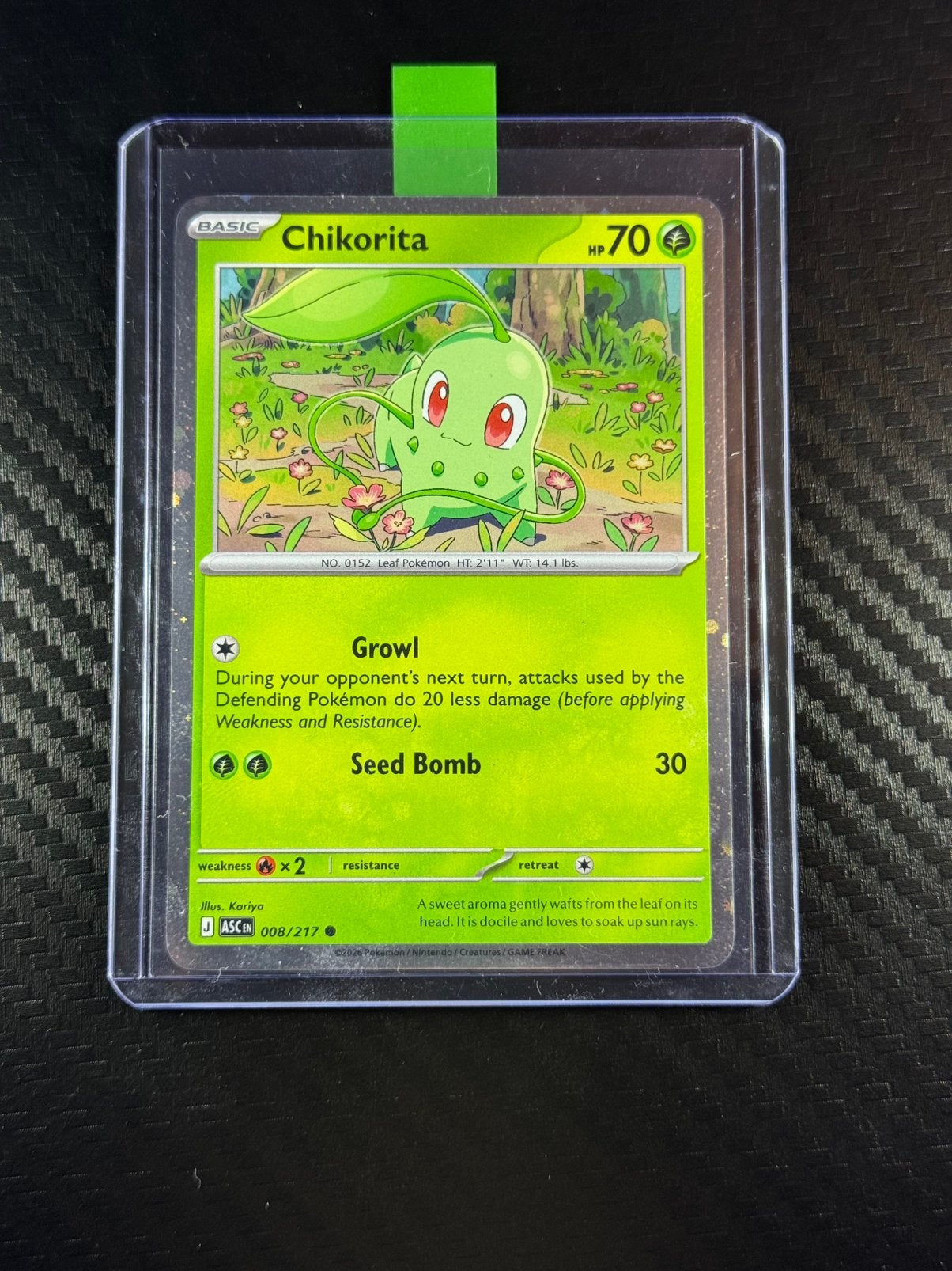 Chikorita | Holo | Héros ascensionnés | 2026 | #008 /217, Envoi, Comme neuf
