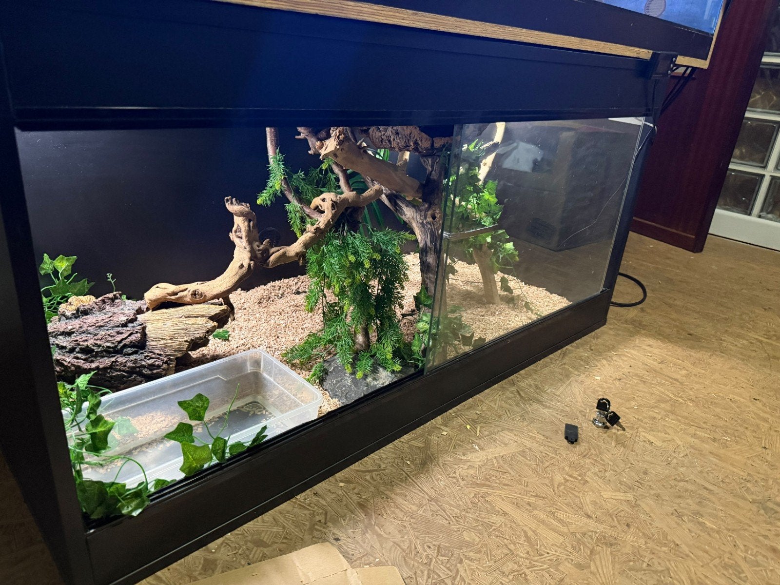 kant en klare mooie grote terrarium met alles erop en eraan, Ophalen, Nieuw, Terrarium of Paludarium