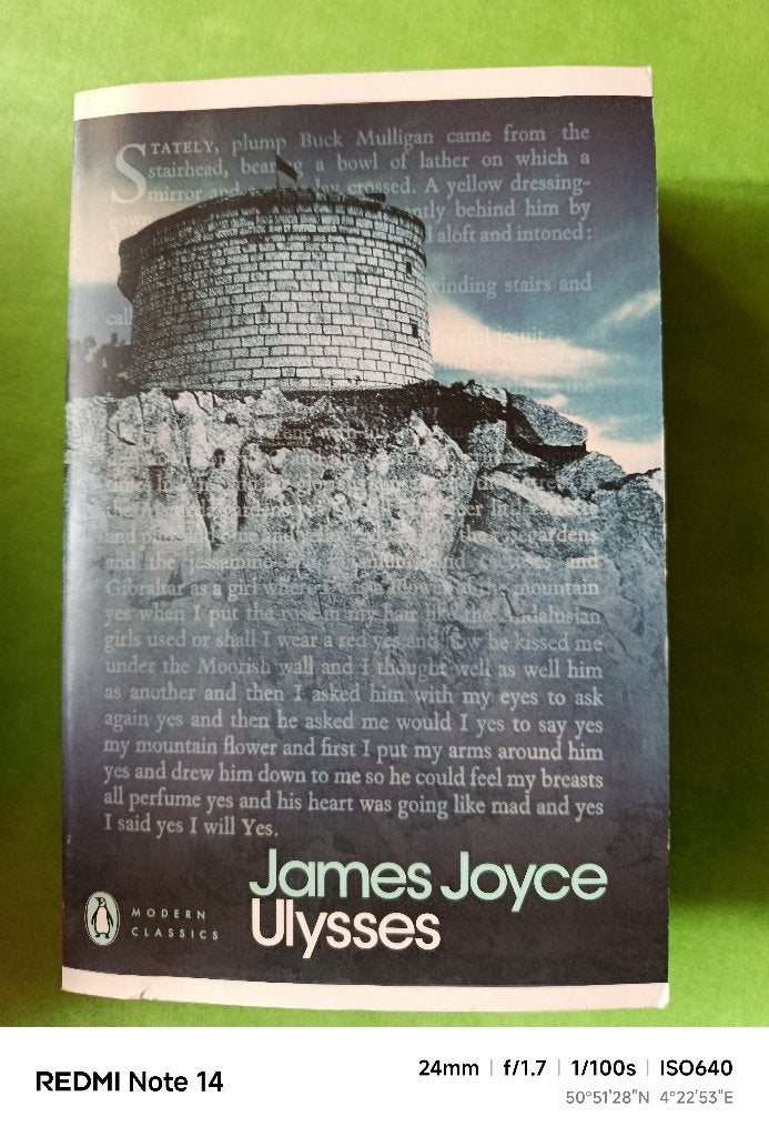 Ulysses,James Joyce, bekroond/nominatie beste fictie, Boeken, Ophalen of Verzenden, Zo goed als nieuw, James Joyce