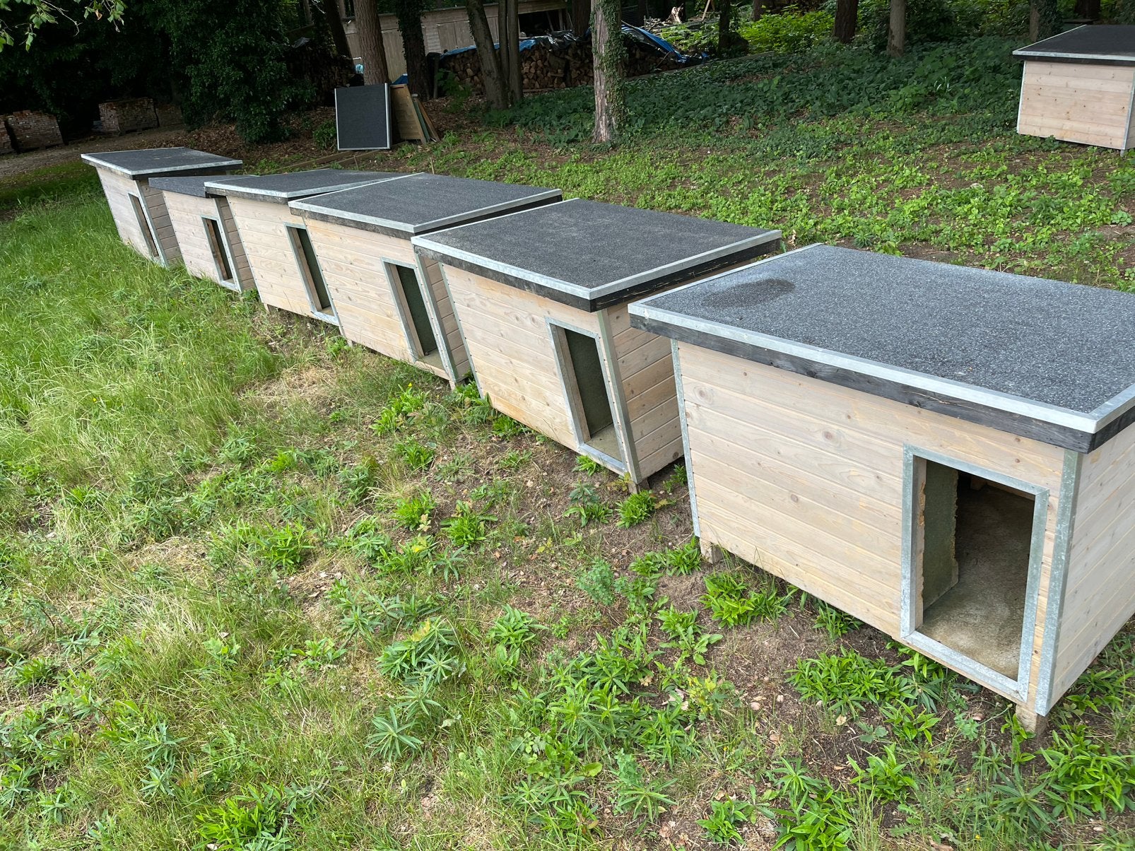 4 grandes niches pour chiens, Animaux & Accessoires, Maisons pour chiens, Utilisé, Chenil chien, 65 à 100 cm, 110 cm ou plus, Enlèvement