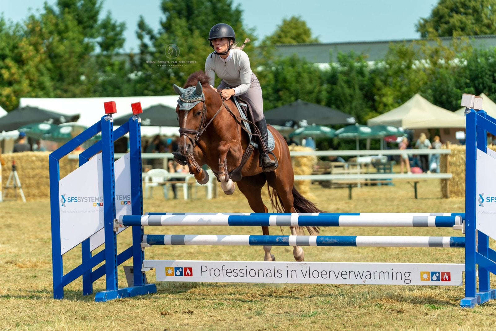 Super Talentvolle Springpony, B, Avec pedigree, Poney D (1.37 m à 1.48m), Poney de saut