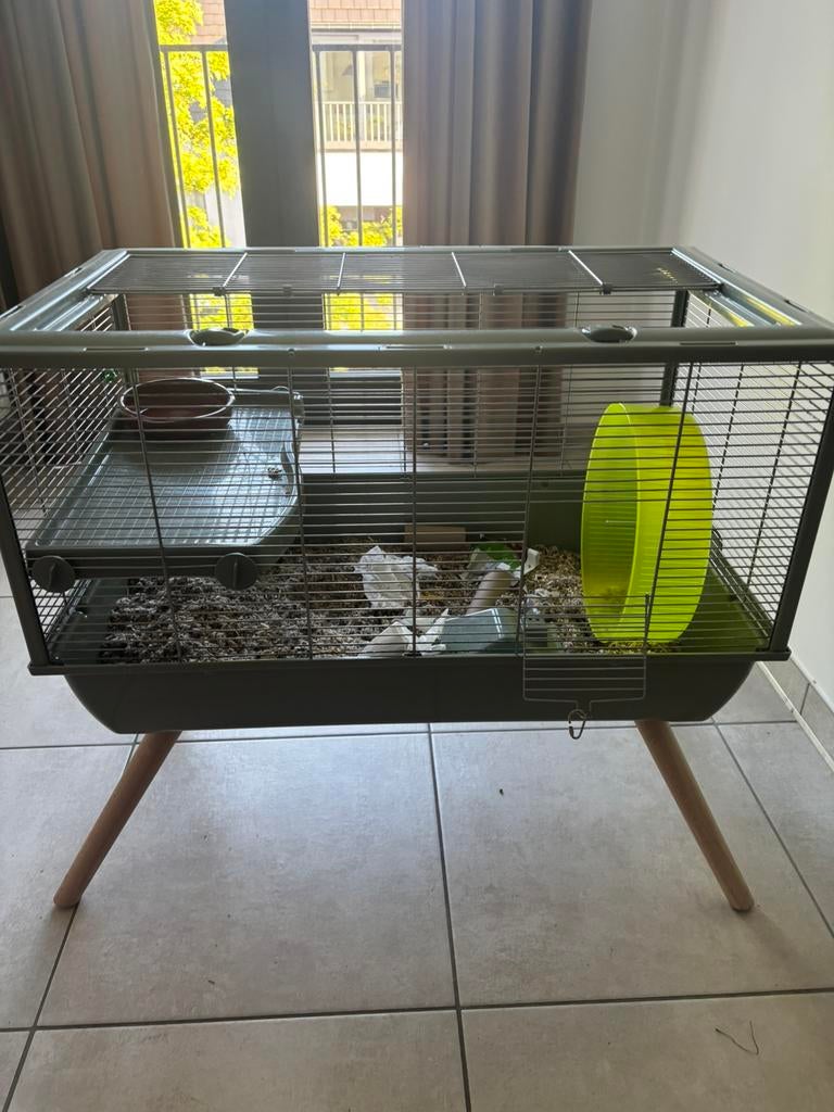 Goeie hamsterkooi, Dieren en Toebehoren, Ophalen, Kooi