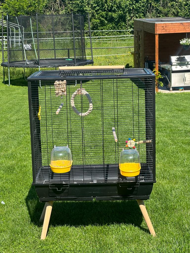 Vogel kooi, Dieren en Toebehoren, Ophalen, Zo goed als nieuw