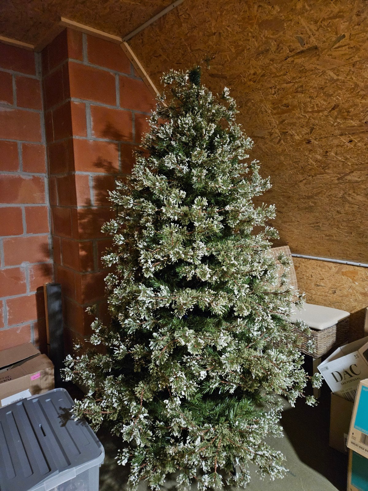 Kerstboom, Divers, Enlèvement