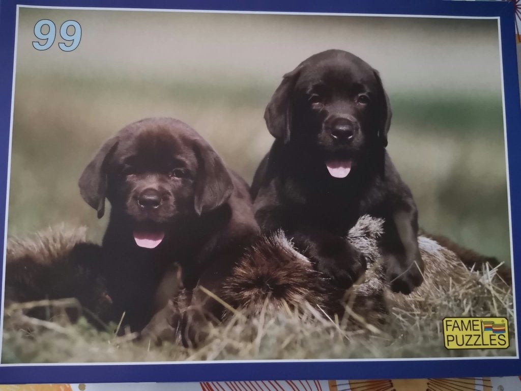 Puzzel „The puppies”, Hobby en Vrije tijd, Ophalen, Minder dan 500 stukjes, Zo goed als nieuw, Legpuzzel