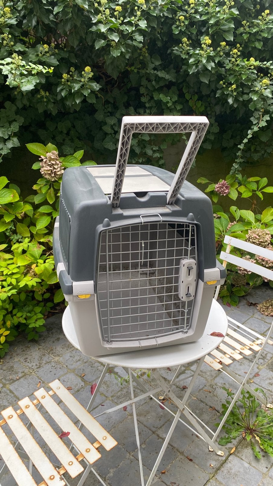 Caisse de transport pour chien Stefanplast Gulliver 4, Enlèvement, Comme neuf