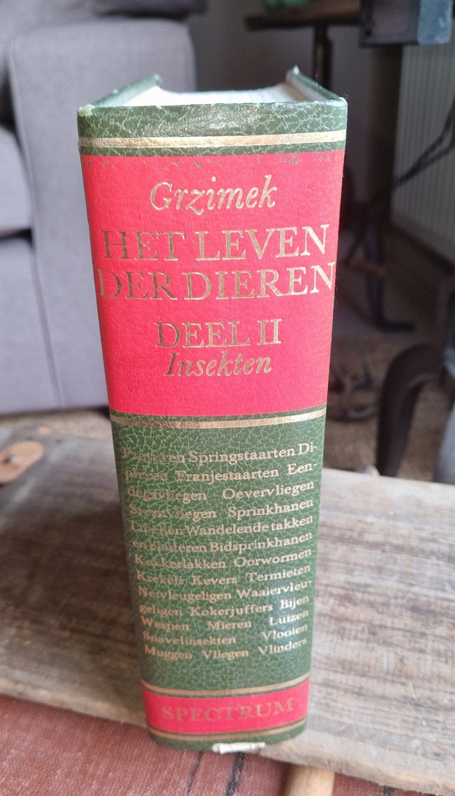 Grzimek boek insecten, Boeken, Gelezen, Ophalen of Verzenden, Los deel, Dieren