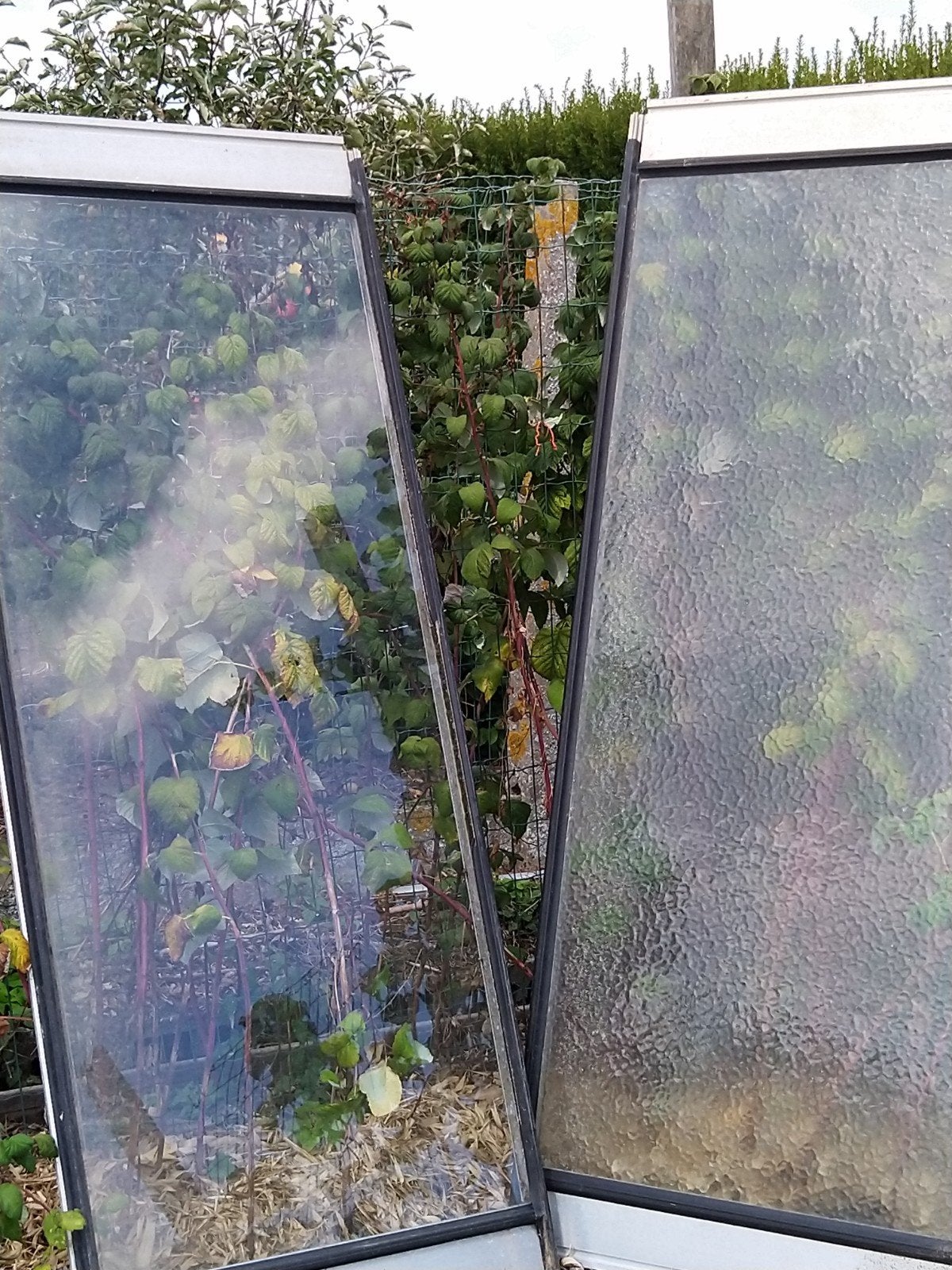 serredeuren, Tuin en Terras, Ophalen