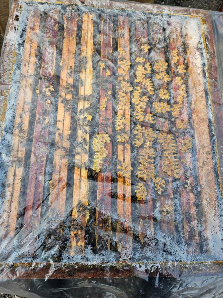 Carnica bijen, Dieren en Toebehoren