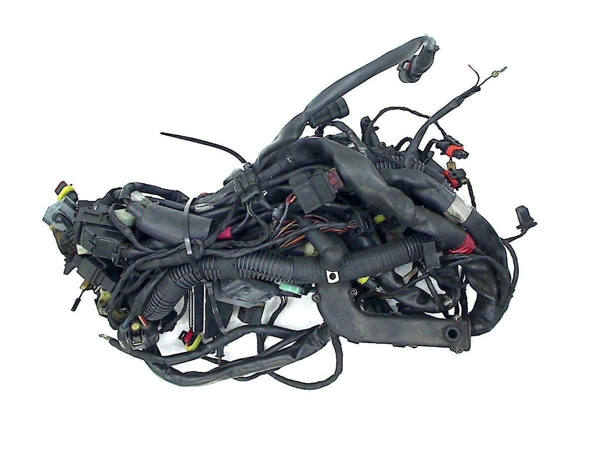 FAISCEAU DE CÂBLAGE DIVERS Aprilia, Motos, Dhr. S. di Majo, Utilisé, Info@cama-motorparts.nl, P.J. Troelstraweg 8 8
3144 CX  MAASSLUIS, NL