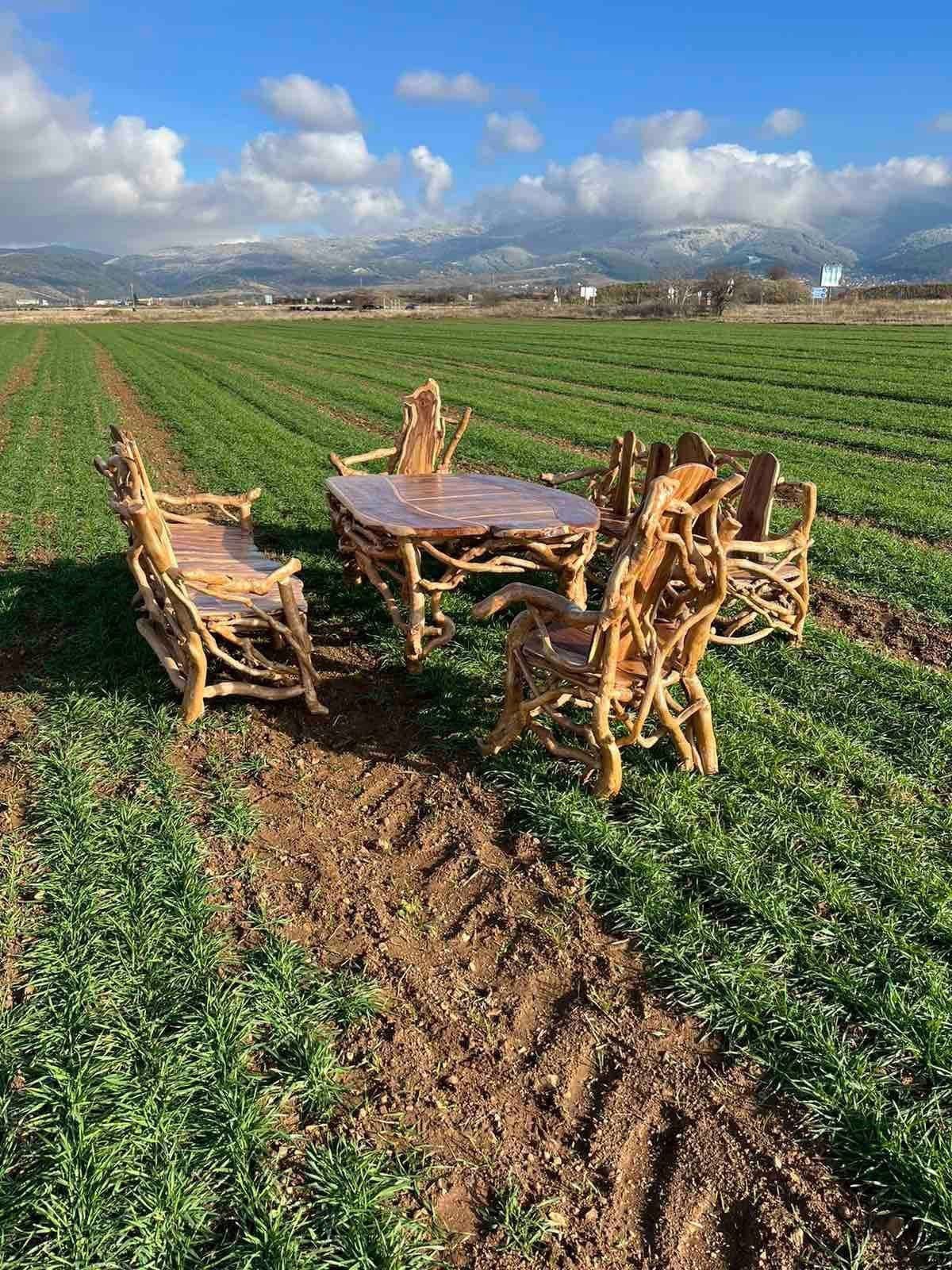 Tafel + 6 stoelen - uniek, hout, handgemaakt, Enlèvement