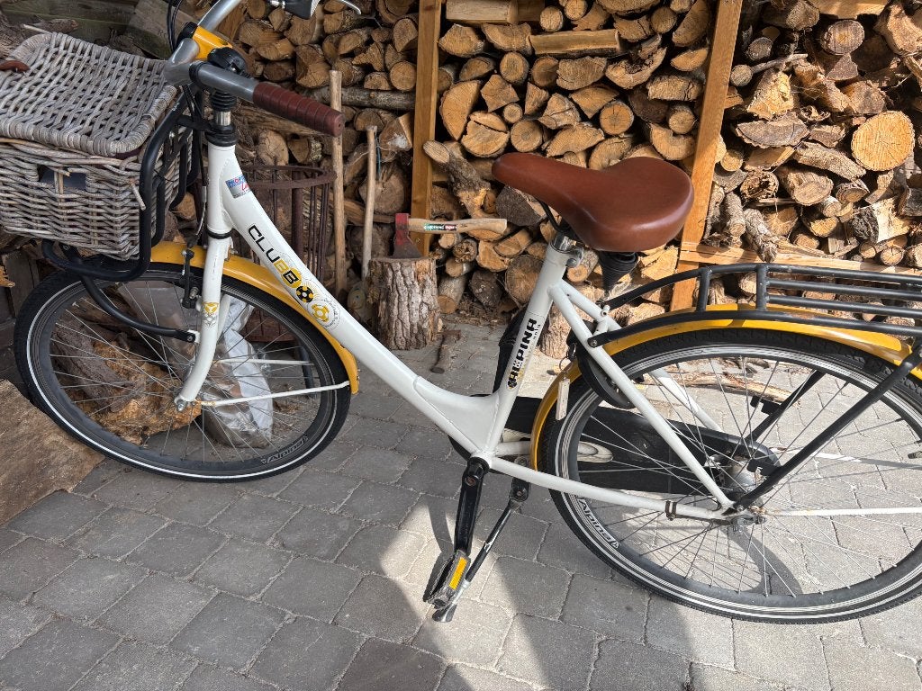 Kinderfiets 26 inch, Fietsen en Brommers, Ophalen, Gebruikt, 20 inch of meer, Alpina