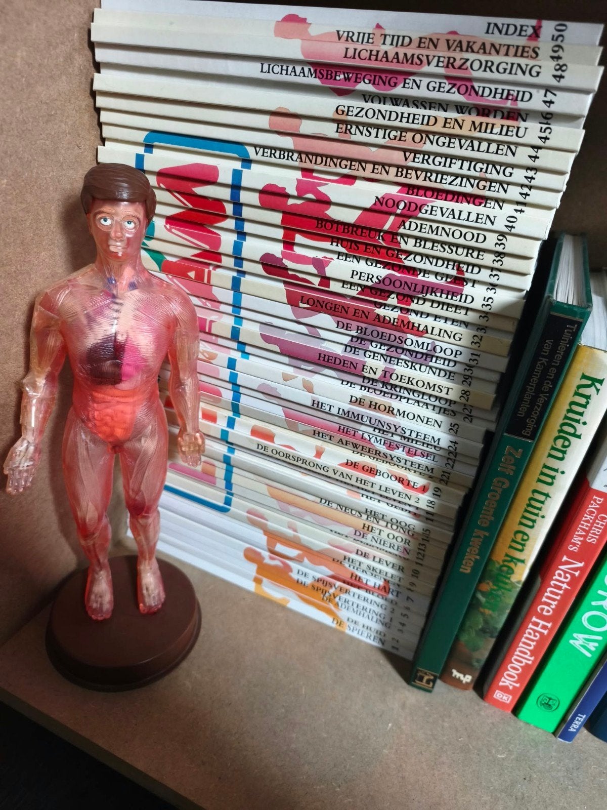 Complete set Zo Werkt Je Lichaam inclusief anatomisch model, Ophalen, Gelezen, School, Studie en Wetenschap