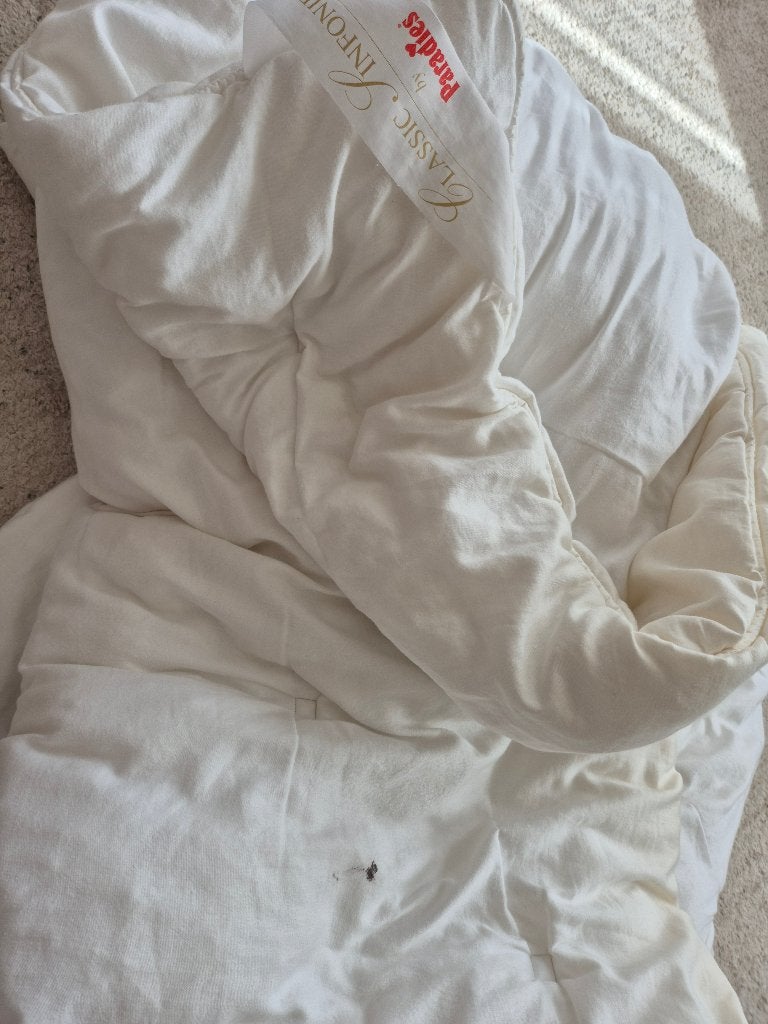 Couette 200/220, Autres marques, Laine, Enlèvement, Utilisé