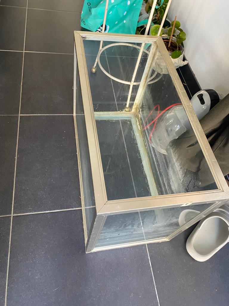Terrarium, Dieren en Toebehoren