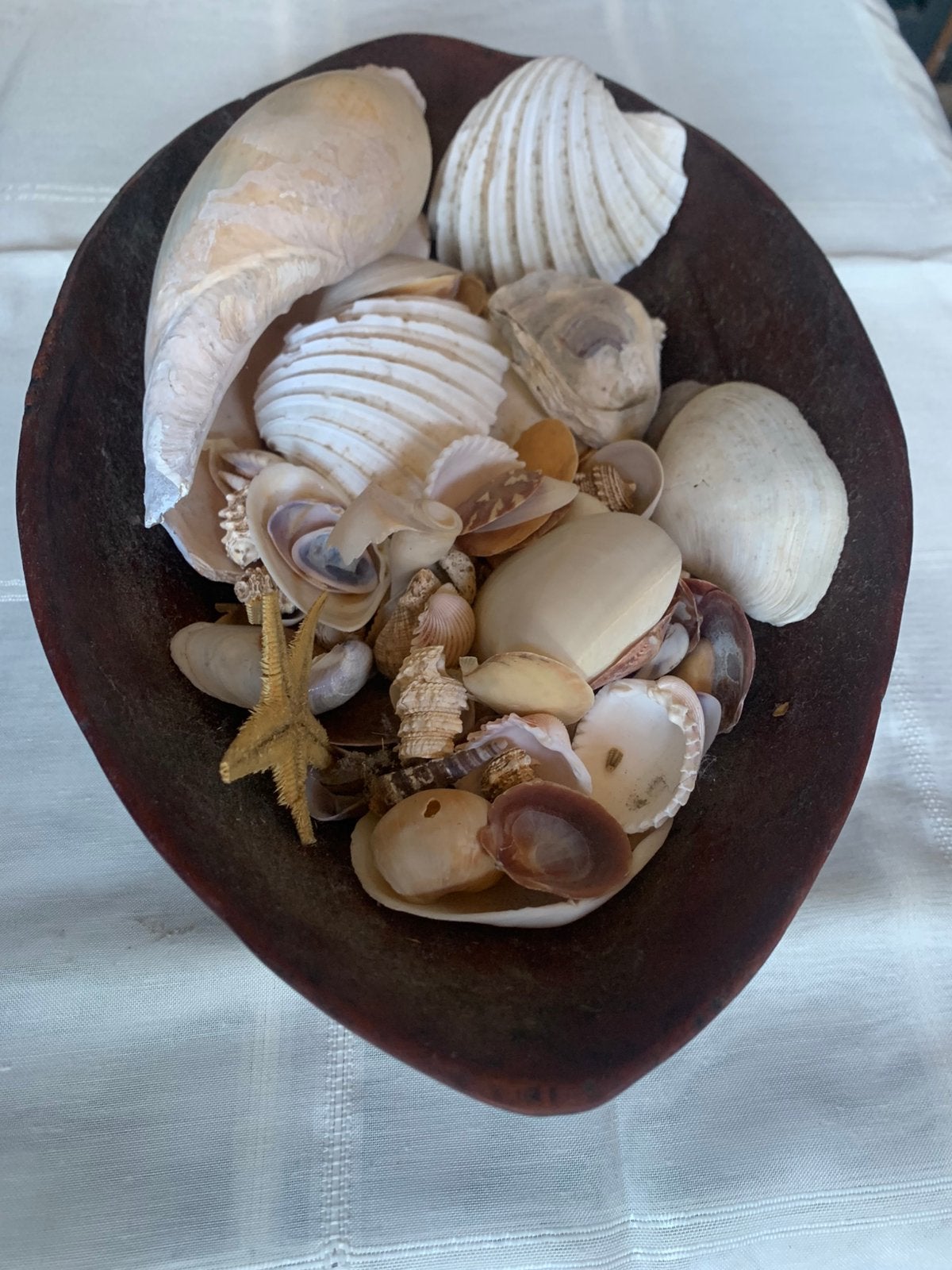 Houten Afrikaanse schotel ( Senegal ) met sierschelpen, Ophalen