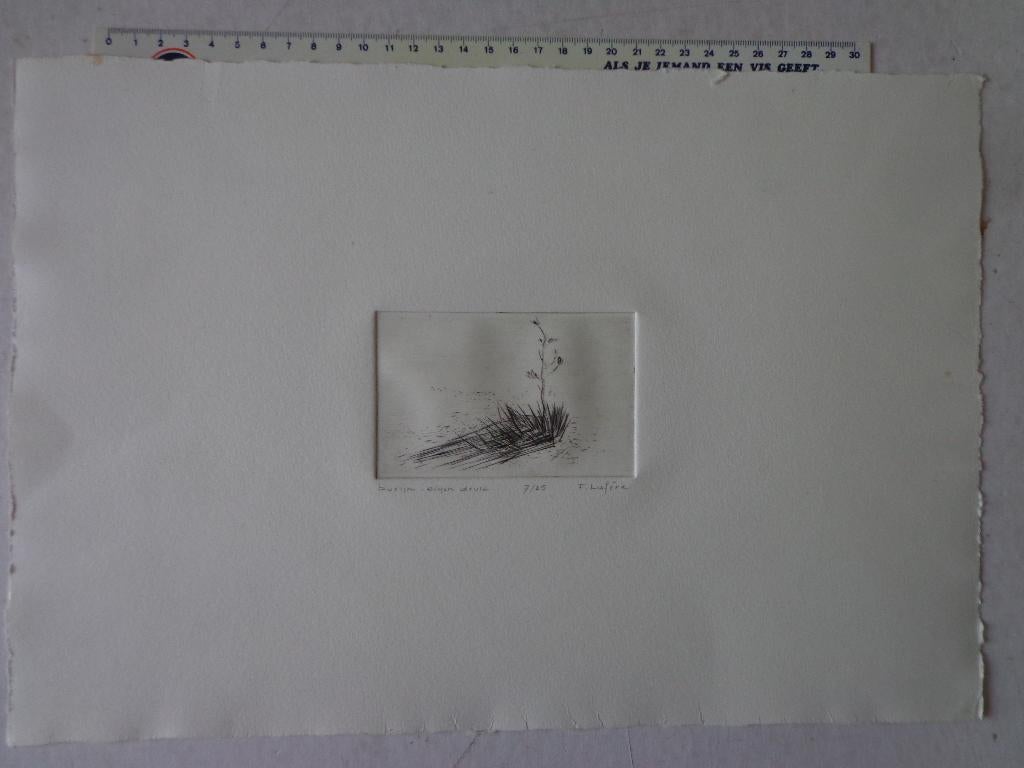 Burijngravure F Lafère "Plant", 2000 tot heden, Ets, Ophalen of Verzenden, Gesigneerd