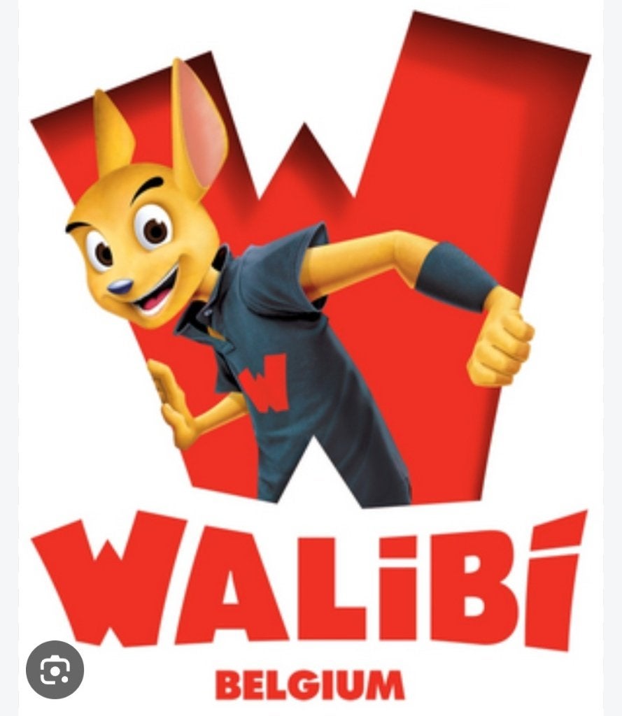 Walibi 50% jusque 5 personnes, Tickets & Billets, Trois personnes ou plus, Carte de réduction