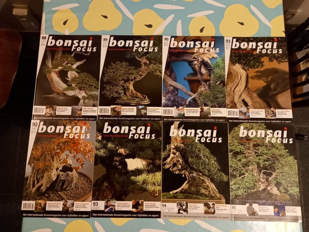 Bonsai Focus/ Bonsai Europe magazines (59x) dutch, Boeken, Ophalen, Gelezen, Wetenschap en Natuur
