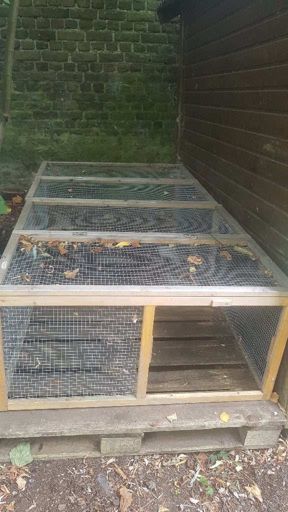 Konijnenren hout, Cavia, Ren, Ophalen, Minder dan 60 cm
