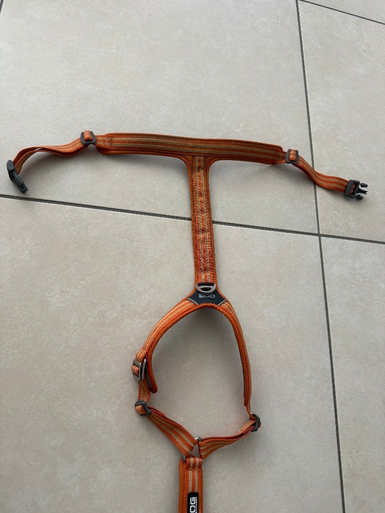 Dog copenhagen comfort tuig XL (Oranje), Enlèvement ou Envoi, Comme neuf