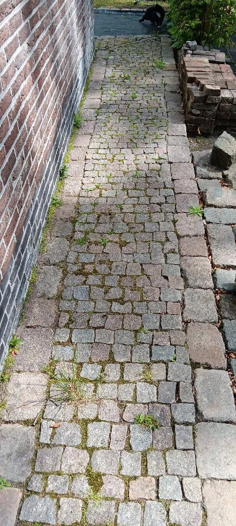 Gratis kleine kasseien +/- 30m², Ophalen, Gebruikt, Grijs, Kei