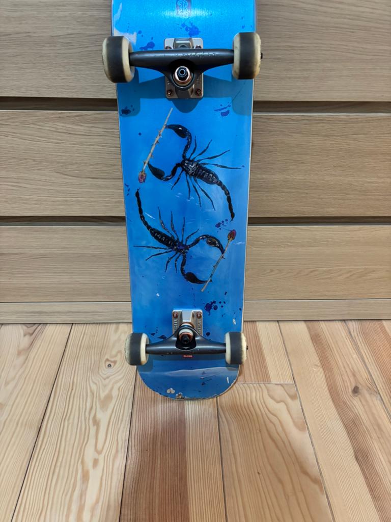 Skateboard Globe, Sports & Fitness, Enlèvement, Skateboard