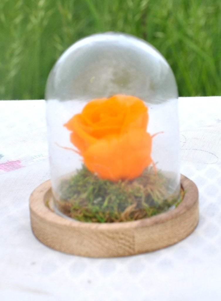 rose éternelle sous cloche en verre orange, Enlèvement ou Envoi, Comme neuf