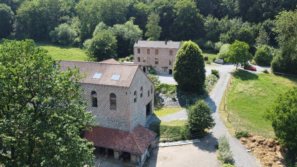 Domaine: Maison, 6 appartements , écurie, welness, ..., 750 m², Namur (ville), Namur, 1500 m² ou plus