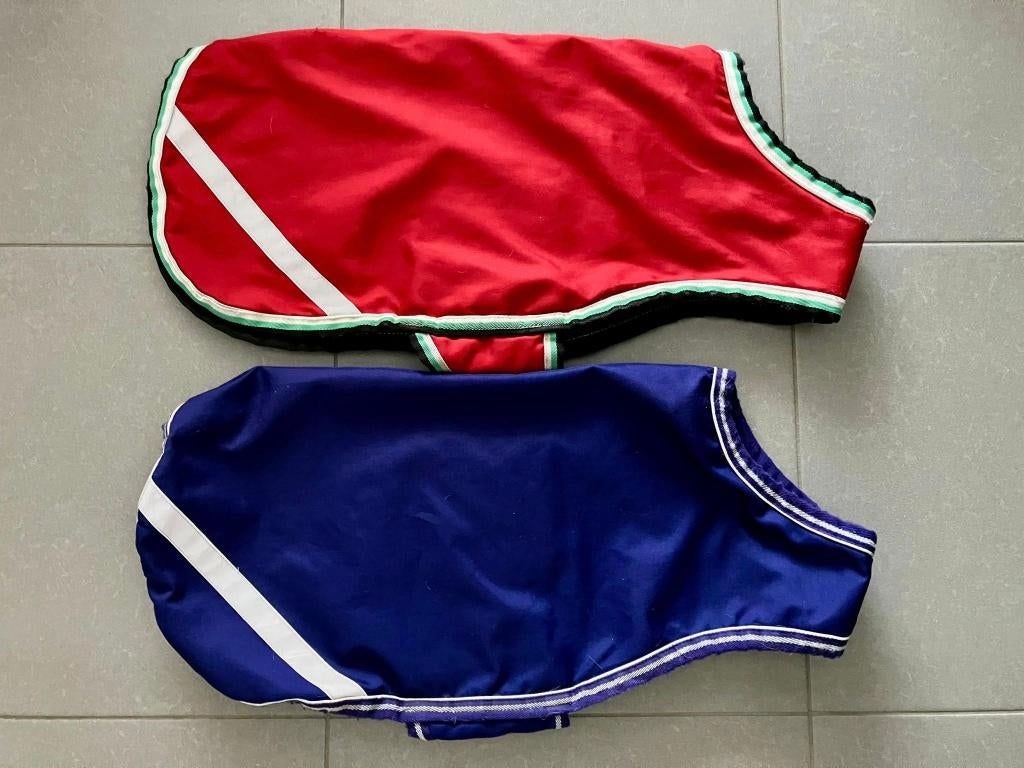 2 amigo hondendekens maat L, Ophalen of Verzenden
