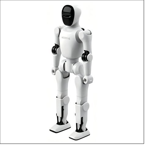HUMANOÏDE STUDIE- / GEZELSCHAPSROBOT, Computers en Software, Ophalen of Verzenden, Nieuw