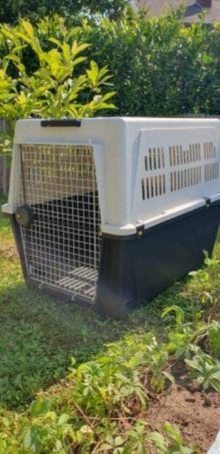 Grande cage FERPLAST, Animaux & Accessoires, Enlèvement