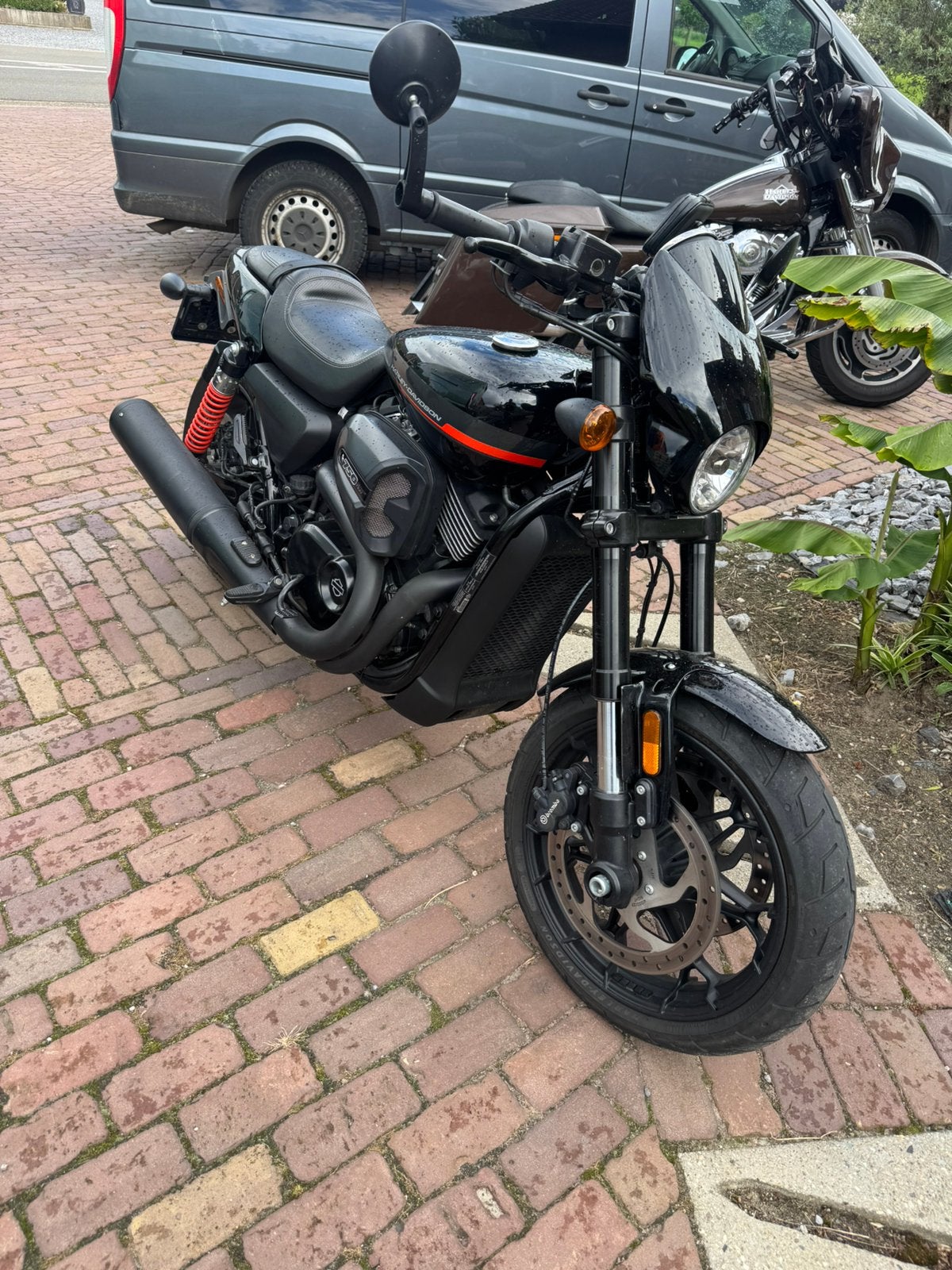 Harley Davidson streetrod 750, Motoren, Motoren | Harley-Davidson, 2 cilinders, Nieuw, Motorrijbewijs A, Particulier