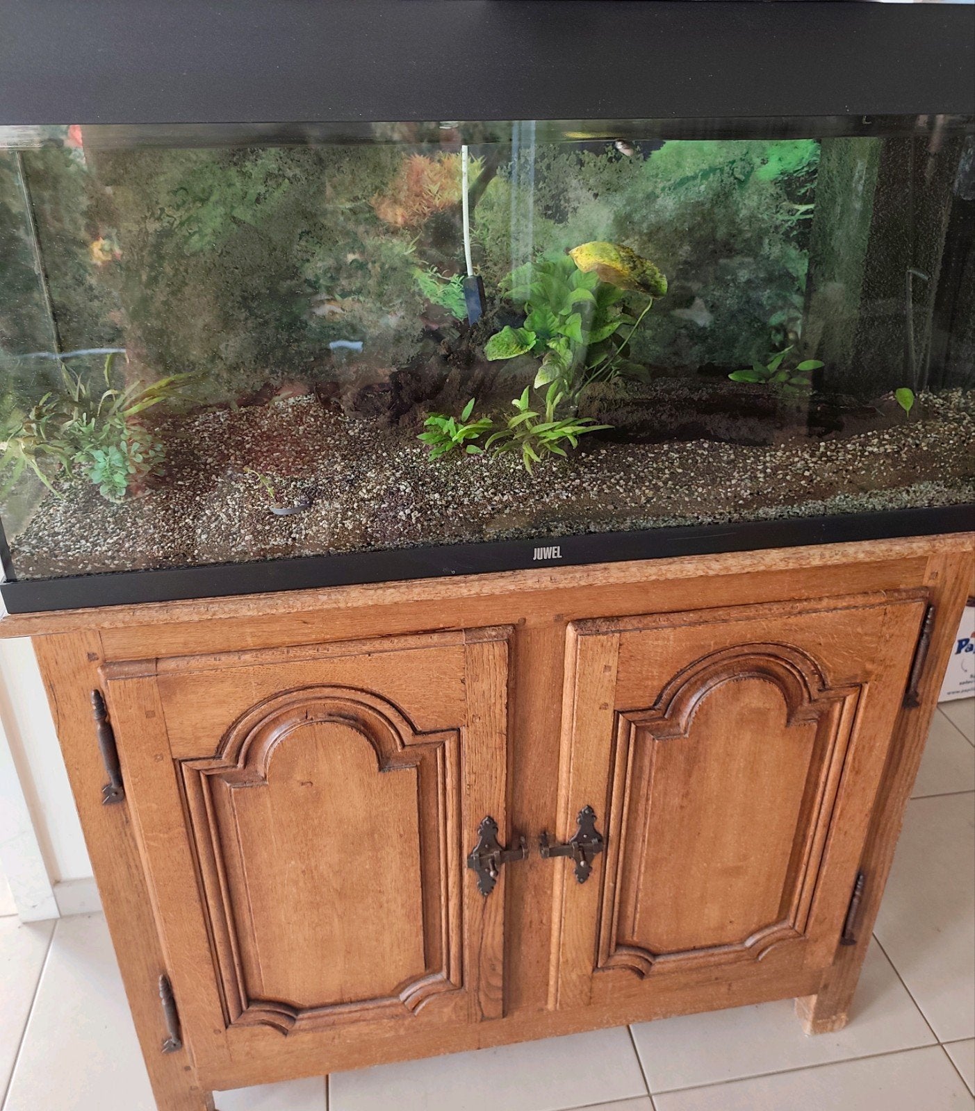 Aquarium, Ophalen, Pomp, Filter