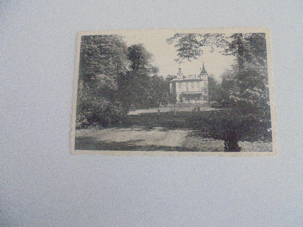 brasschaat- withof, Verzamelen, Postkaarten | België, Verzenden, 1940 tot 1960, Gelopen, Antwerpen