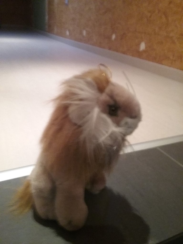 Knuffel leeuw, Enfants & Bébés, Jouets | Peluches, Comme neuf, Lion, Lavable, Enlèvement