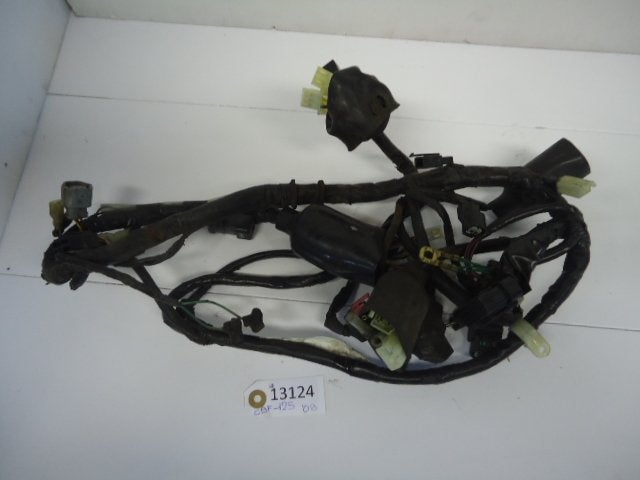 CBF125 2009 - 2012 Honda Kabelboom Kabelboom hoofd D1-16696