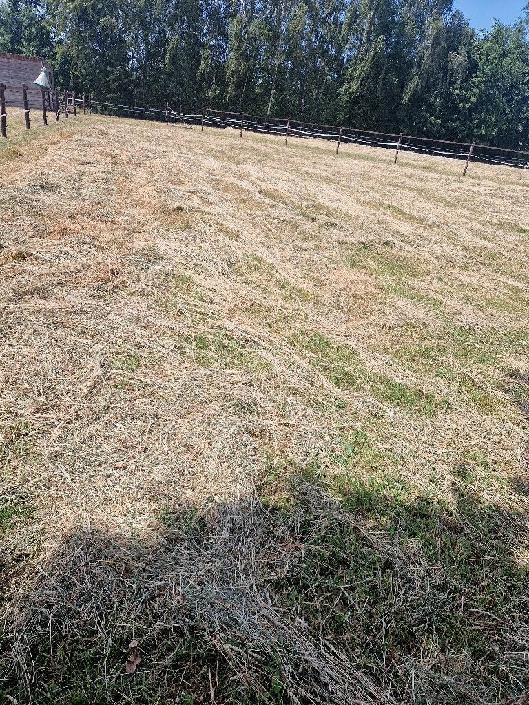 Hooi, Ophalen, Overige soorten