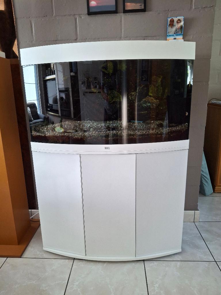 Aquarium vision 180 juwel, Enlèvement, Utilisé, Juwel, Meuble d'aquarium