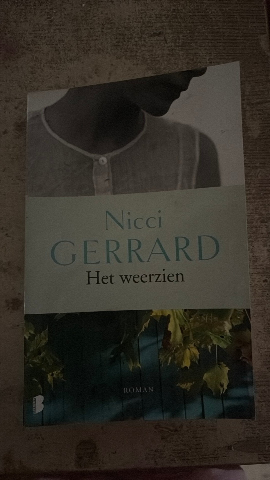 Nicci Gerrard - Het weerzien, Ophalen of Verzenden, Nicci Gerrard