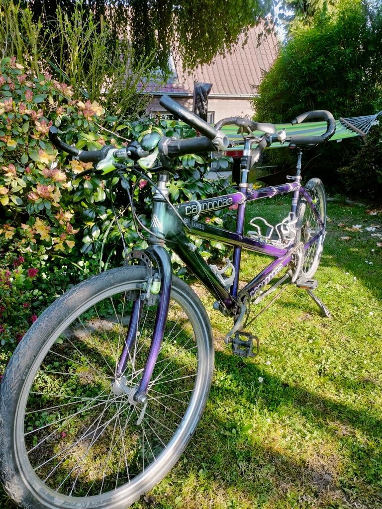 Cannondale Tandem - Stabiel, Snel & Toponderdelen!, Fietsen en Brommers, Overige Fietsen en Brommers, Gebruikt, Ophalen
